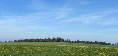 Terrain seul à Saint-Just-Malmont en Haute-Loire (43) de 1274 m² à vendre au prix de 76000€ - 2