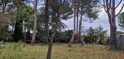 Terrain seul à Saint-Jean-de-Fos en Hérault (34) de 600 m² à vendre au prix de 173000€ - 1