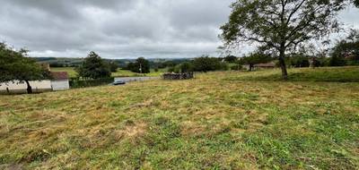 Terrain seul à Boisset en Cantal (15) de 3700 m² à vendre au prix de 50000€ - 2