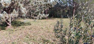 Terrain seul à Roquebrune-sur-Argens en Var (83) de 950 m² à vendre au prix de 300000€ - 3