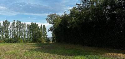 Programme terrain + maison à Saint-Ciers-de-Canesse en Gironde (33) de 80 m² à vendre au prix de 220000€ - 2