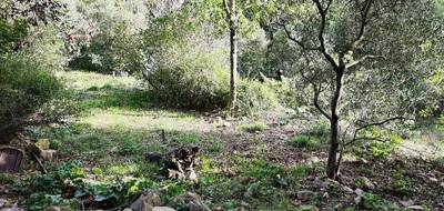 Terrain seul à Rocbaron en Var (83) de 900 m² à vendre au prix de 133000€ - 1