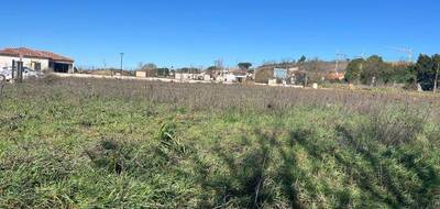 Terrain seul à Baziège en Haute-Garonne (31) de 576 m² à vendre au prix de 139900€ - 1