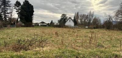 Terrain seul à Colmar en Haut-Rhin (68) de 800 m² à vendre au prix de 480000€ - 1