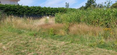 Programme terrain + maison à Fronton en Haute-Garonne (31) de 73 m² à vendre au prix de 199828€ - 4