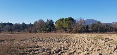 Terrain seul à Le Triadou en Hérault (34) de 500 m² à vendre au prix de 239000€ - 2