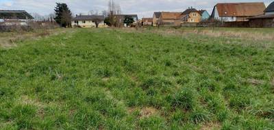 Terrain seul à Houssen en Haut-Rhin (68) de 412 m² à vendre au prix de 115360€ - 2