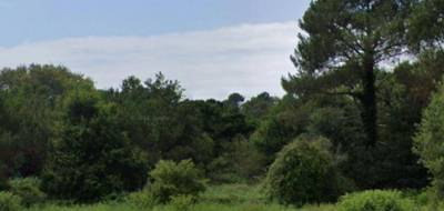 Terrain seul à Messanges en Landes (40) de 902 m² à vendre au prix de 320000€ - 1