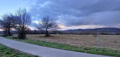 Terrain seul à Les Issards en Ariège (09) de 1273 m² à vendre au prix de 83000€ - 3