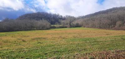 Terrain seul à Loubressac en Lot (46) de 1254 m² à vendre au prix de 31350€ - 2