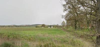 Terrain seul à Nègrepelisse en Tarn-et-Garonne (82) de 1500 m² à vendre au prix de 60000€ - 4