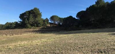 Programme terrain + maison à Villeneuve-Minervois en Aude (11) de 123 m² à vendre au prix de 369500€ - 4