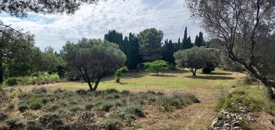 Terrain seul à Sanary-sur-Mer en Var (83) de 500 m² à vendre au prix de 460000€ - 1