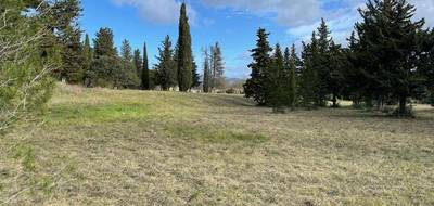 Terrain seul à Le Triadou en Hérault (34) de 500 m² à vendre au prix de 239000€ - 1