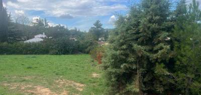 Terrain seul à Saint-Martin-de-Crau en Bouches-du-Rhône (13) de 510 m² à vendre au prix de 229000€ - 3