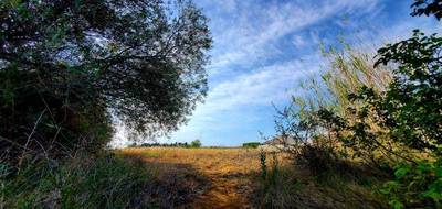 Terrain seul à Thézan-lès-Béziers en Hérault (34) de 334 m² à vendre au prix de 90500€ - 4