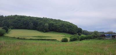 Terrain seul à Saint-Mamet-la-Salvetat en Cantal (15) de 1683 m² à vendre au prix de 33500€ - 3