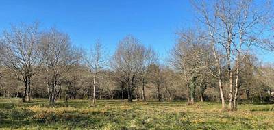 Terrain seul à Mont-de-Marsan en Landes (40) de 1029 m² à vendre au prix de 64900€ - 1