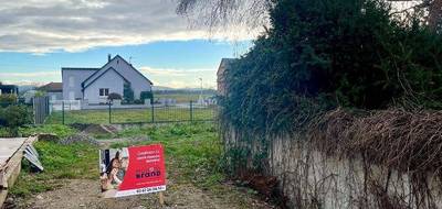 Programme terrain + maison à Jebsheim en Haut-Rhin (68) de 135 m² à vendre au prix de 469000€ - 3