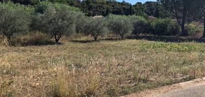 Programme terrain + maison à Prades-le-Lez en Hérault (34) de 120 m² à vendre au prix de 547500€ - 3