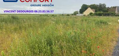 Programme terrain + maison à Neuvireuil en Pas-de-Calais (62) de 124 m² à vendre au prix de 295768€ - 3