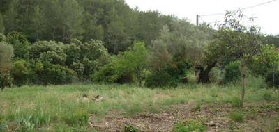 Terrain seul à Cuers en Var (83) de 855 m² à vendre au prix de 255000€ - 3