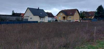 Programme terrain + maison à Sélestat en Bas-Rhin (67) de 110 m² à vendre au prix de 380800€ - 3