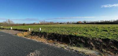 Programme terrain + maison à Saint-Michel-en-l'Herm en Vendée (85) de 70 m² à vendre au prix de 192300€ - 4