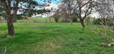 Programme terrain + maison à Saint-Avertin en Indre-et-Loire (37) de 50 m² à vendre au prix de 194800€ - 2