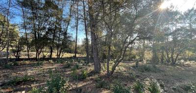 Terrain seul à Trans-en-Provence en Var (83) de 900 m² à vendre au prix de 193000€ - 2