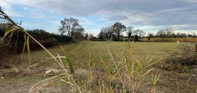 Terrain seul à Saint-Martin-de-Crau en Bouches-du-Rhône (13) de 830 m² à vendre au prix de 194900€ - 2