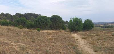 Terrain seul à Marcorignan en Aude (11) de 388 m² à vendre au prix de 116900€ - 3