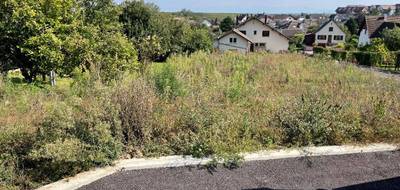 Terrain seul à Pfaffenheim en Haut-Rhin (68) de 358 m² à vendre au prix de 119000€ - 4