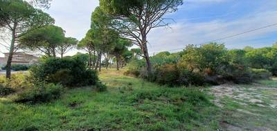 Terrain seul à Puget-sur-Argens en Var (83) de 656 m² à vendre au prix de 250000€ - 1