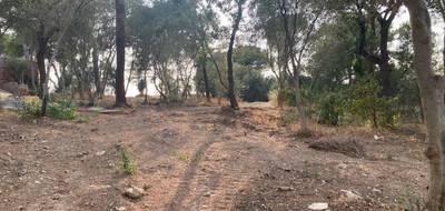 Terrain seul à La Seyne-sur-Mer en Var (83) de 600 m² à vendre au prix de 235000€ - 2