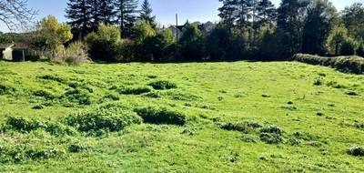 Terrain seul à Sansac-de-Marmiesse en Cantal (15) de 1000 m² à vendre au prix de 45000€ - 4