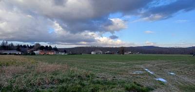 Terrain seul à Les Issards en Ariège (09) de 1487 m² à vendre au prix de 97000€ - 1