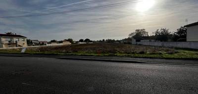 Terrain seul à Cognac en Charente (16) de 478 m² à vendre au prix de 52900€ - 4