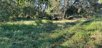 Terrain seul à Draguignan en Var (83) de 2000 m² à vendre au prix de 139000€ - 2