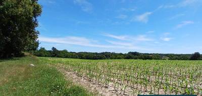 Terrain seul à Mugron en Landes (40) de 958 m² à vendre au prix de 58900€ - 1