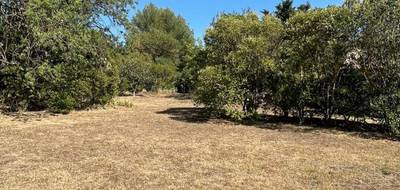 Terrain seul à Cuges-les-Pins en Bouches-du-Rhône (13) de 1112 m² à vendre au prix de 245000€ - 2