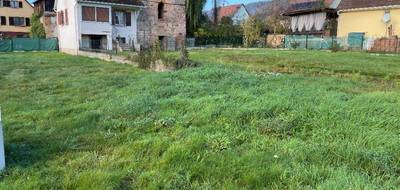 Terrain seul à Munster en Haut-Rhin (68) de 518 m² à vendre au prix de 99500€ - 2