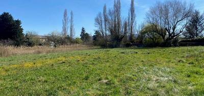 Terrain seul à Cruas en Ardèche (07) de 668 m² à vendre au prix de 105000€ - 4