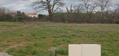 Programme terrain + maison à Luçon en Vendée (85) de 80 m² à vendre au prix de 162621€ - 3