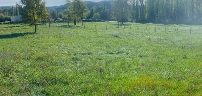 Terrain seul à Vallon-Pont-d'Arc en Ardèche (07) de 903 m² à vendre au prix de 64000€ - 3