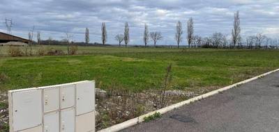 Terrain seul à Balgau en Haut-Rhin (68) de 573 m² à vendre au prix de 105202€ - 3