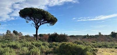 Terrain seul à Puget-sur-Argens en Var (83) de 656 m² à vendre au prix de 250000€ - 1