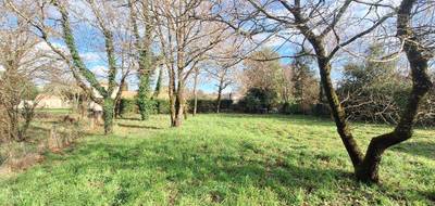 Terrain seul à La Tremblade en Charente-Maritime (17) de 703 m² à vendre au prix de 155000€ - 1