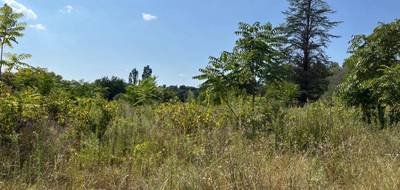 Terrain seul à Mollans-sur-Ouvèze en Drôme (26) de 400 m² à vendre au prix de 89000€ - 4