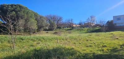 Terrain seul à Roquebrune-sur-Argens en Var (83) de 887 m² à vendre au prix de 280000€ - 3